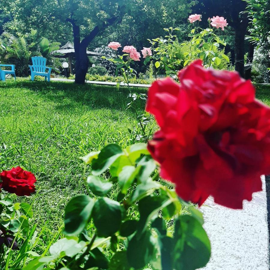 Hotel Parco Delle Rose Acquappesa Luaran gambar
